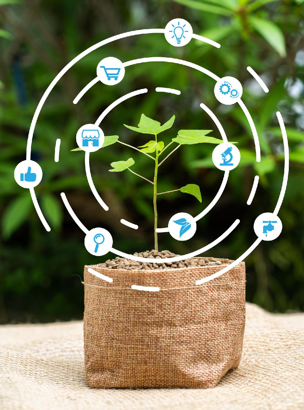 FOSTERING DIGITAL AGRI-FOOD INDUSTRY