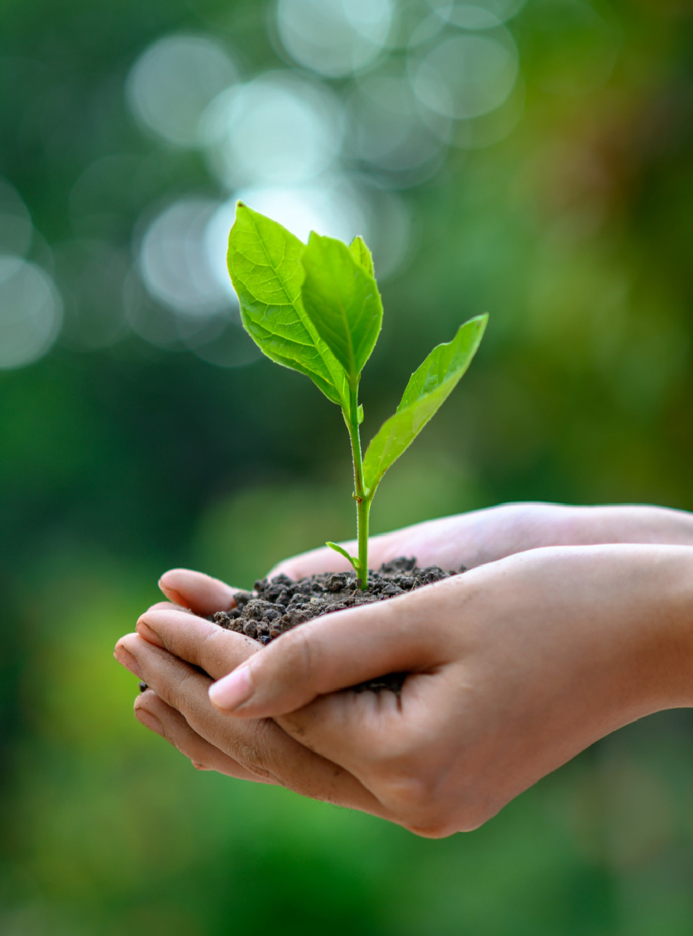 SUSTAINABILITY